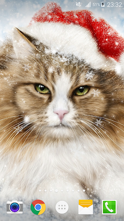 クリスマス猫ライブ壁紙 による無料ダウンロード Wallpaper Hai Christmas19