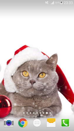 クリスマス猫ライブ壁紙 による無料ダウンロード Wallpaper Hai Christmas19