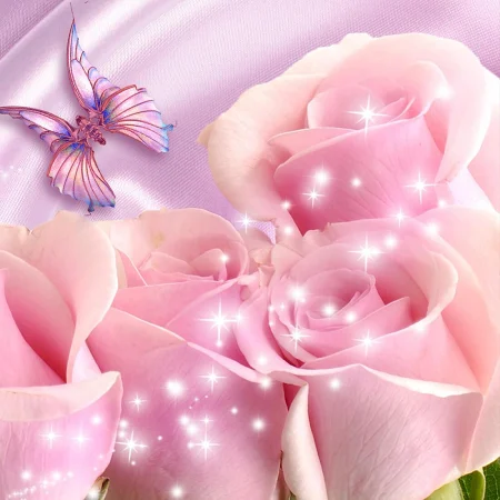 Pink Rose Live Wallpaper APK for Android - free download on Droid Informer