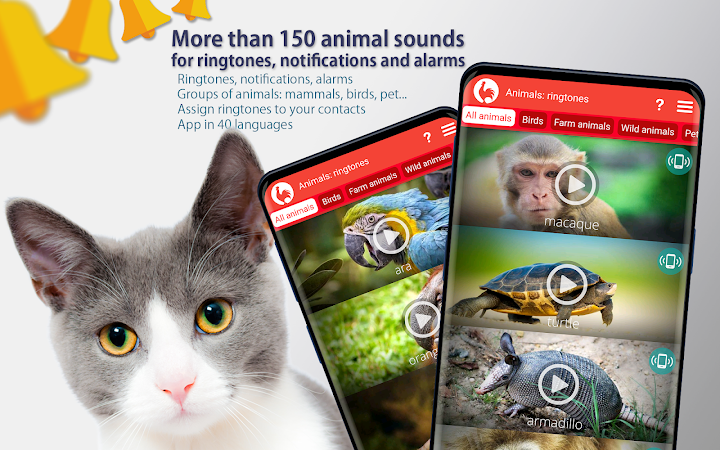 Animals: Ringtones APK for Android - free download on Droid Informer