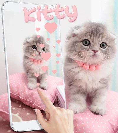Cute Kitty Cat