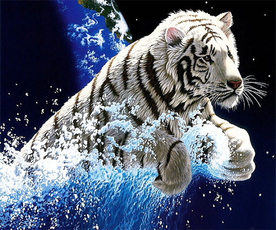 Tiger Live Wallpaper Apk For Android Free Download On Droid Informer