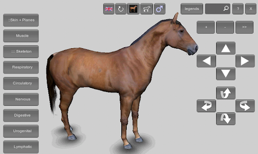 3d Canine Anatomy Software 1.1 Free Download